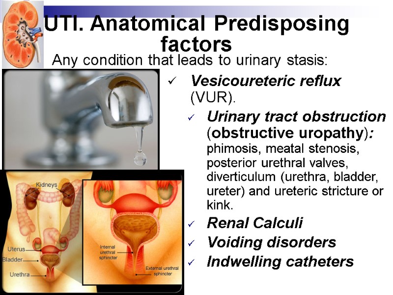 UTI. Anatomical Predisposing factors  Vesicoureteric reflux (VUR).  Urinary tract obstruction (obstructive uropathy):